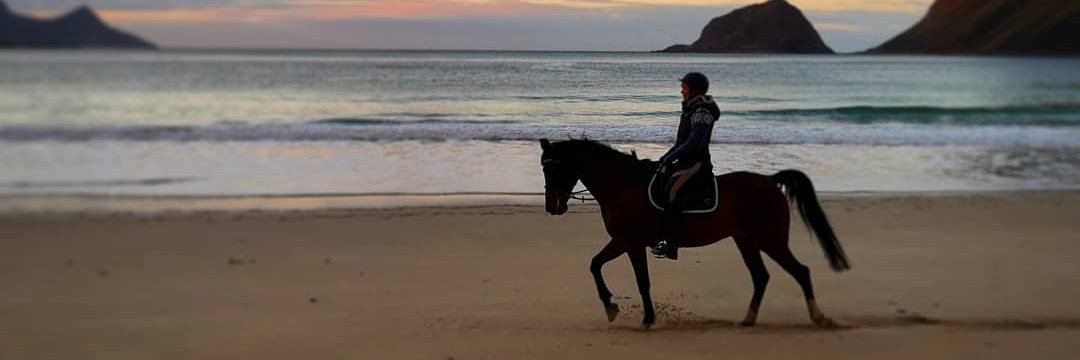 Berit Kristoffersen banner