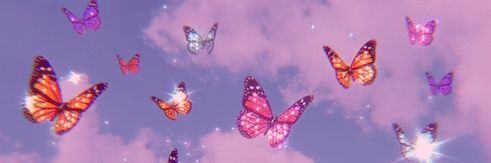 Aripottah1's profile banner image