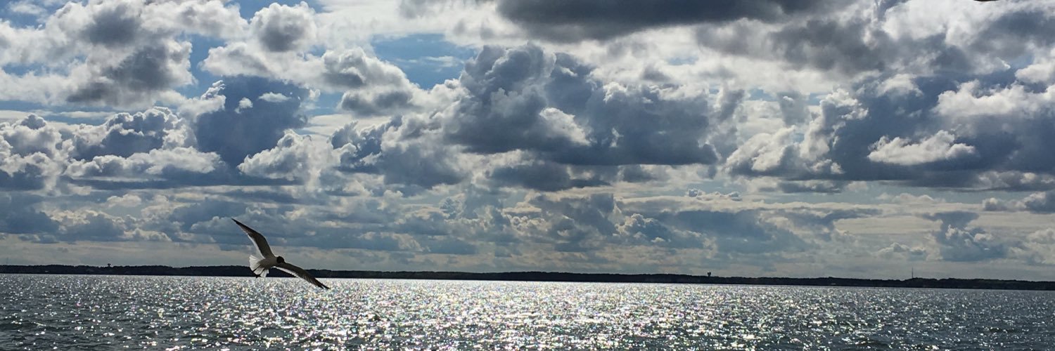 rtallent's profile banner image