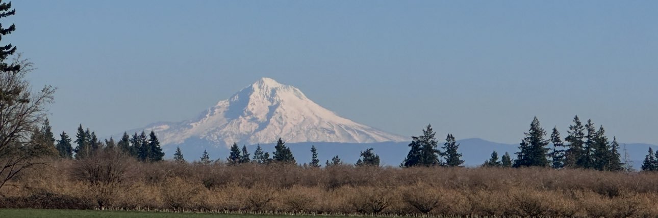 mattarnold74's profile banner image