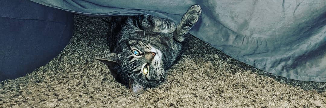Duffles252's profile banner image