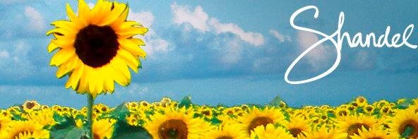 shandel's profile banner image