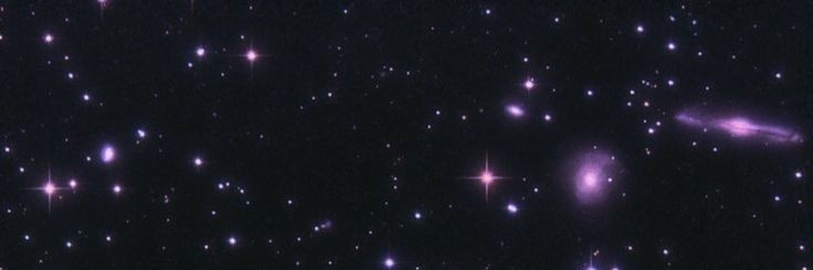 starleaf free 🇵🇸 banner