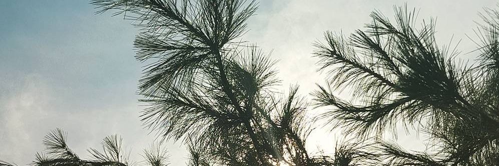 ChlxeWhittingtx's profile banner image