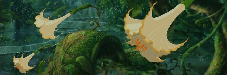 anabnch's profile banner image