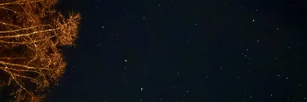 juns_tableau Profile Banner
