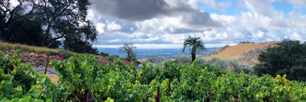 grapeswithaview Profile Banner