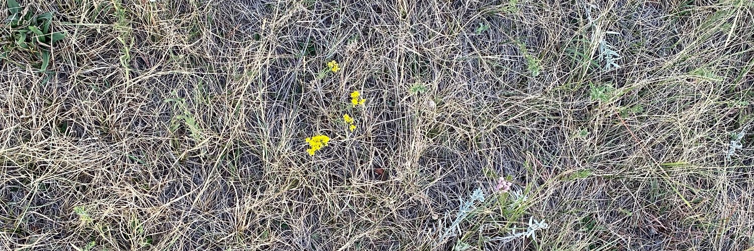 Josh Baldwin, PhD banner