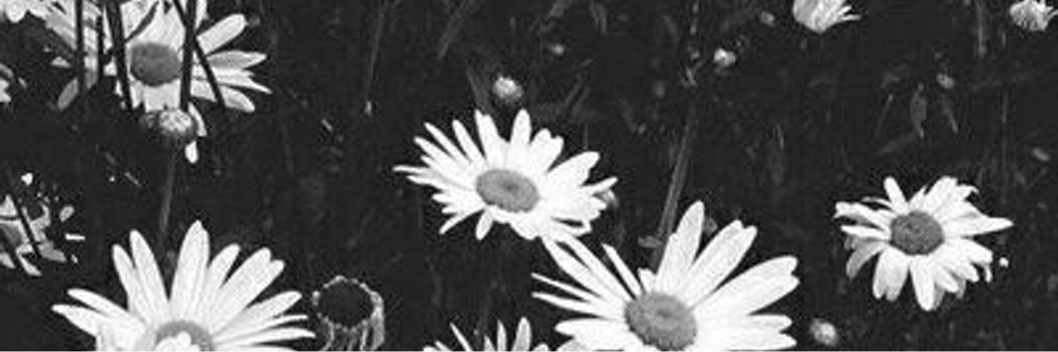 fanny_j24's profile banner image
