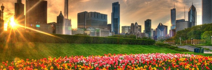 ChicagoCAPS16's profile banner image