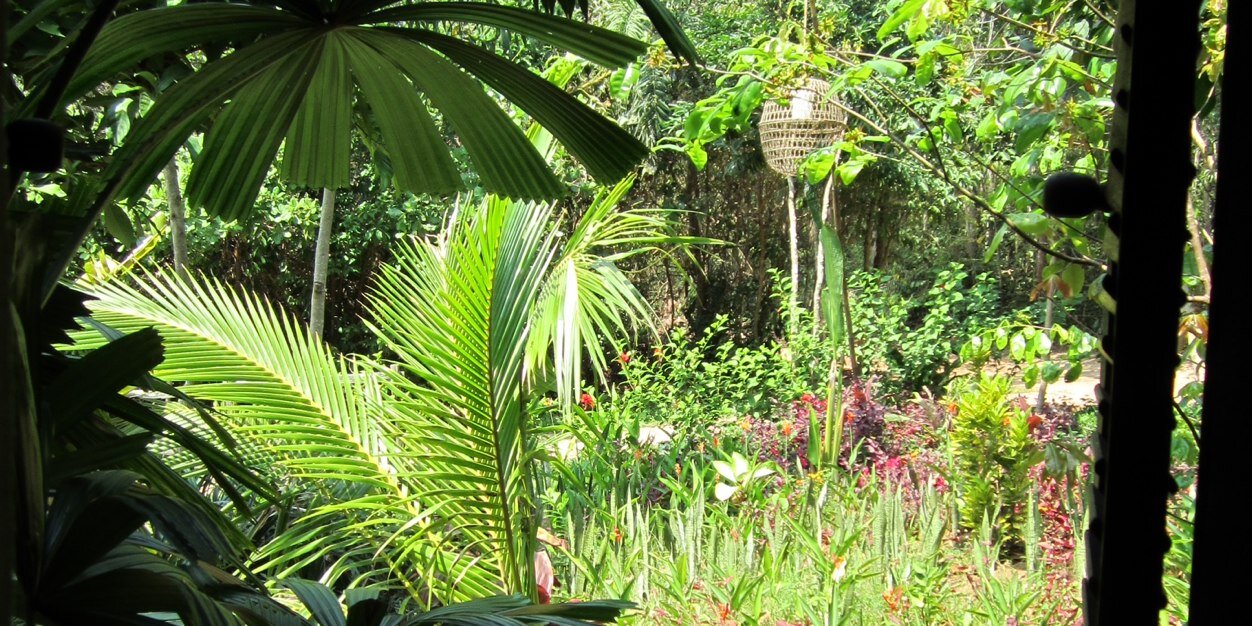 MsGuldberg's profile banner image
