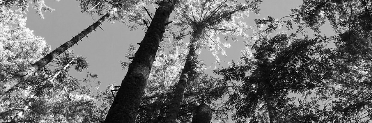 KenaraBread's profile banner image