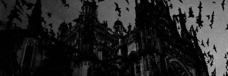 𝑾 𝒊 𝒌 𝒕 𝒐 𝒓. banner