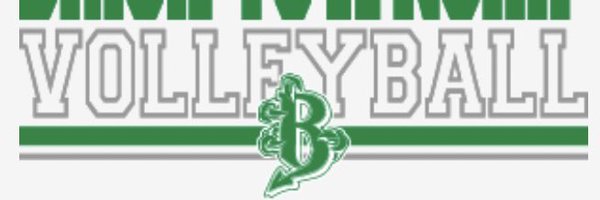 BrickVBall Profile Banner