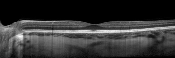 AMD_histo_lab Profile Banner