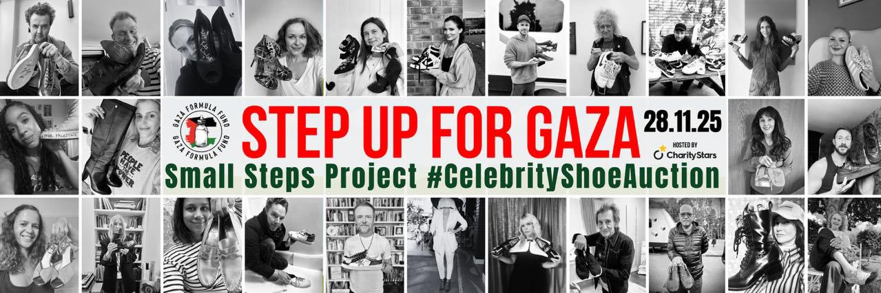 Small Steps Project banner