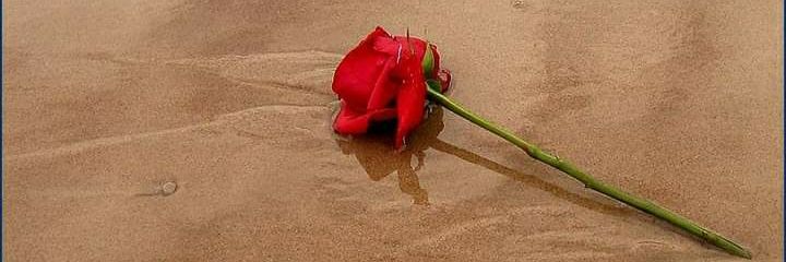 Maria67438452's profile banner image