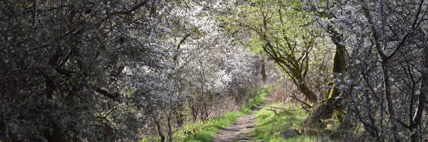 Medical Thingy Thing 🦕 🦖 banner