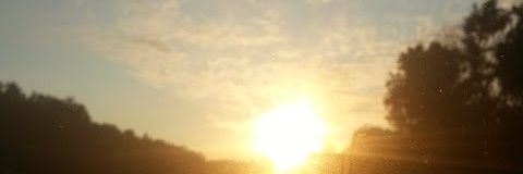 WolverinePureblood banner