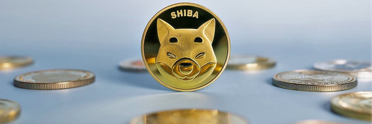 Shiba Club banner