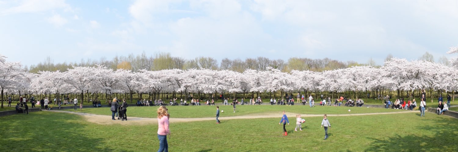 john (touching grass) banner