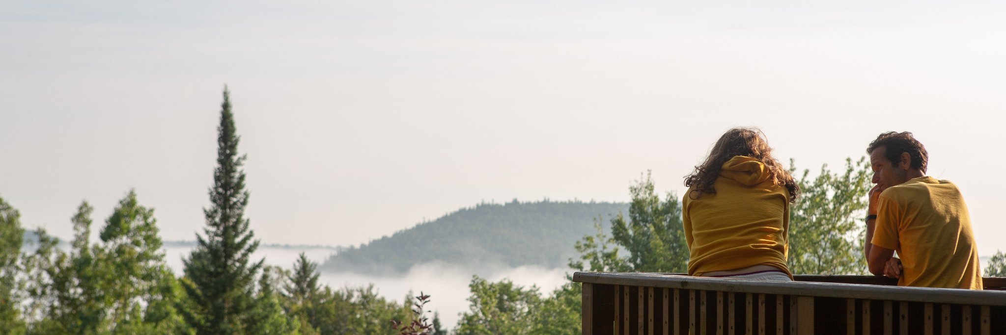 sivanandacamp's profile banner image