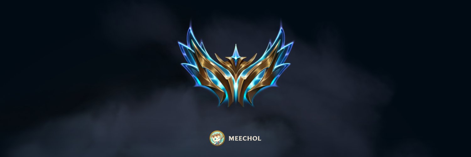 MEECHOL banner