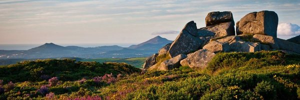 MsAisNolan Profile Banner