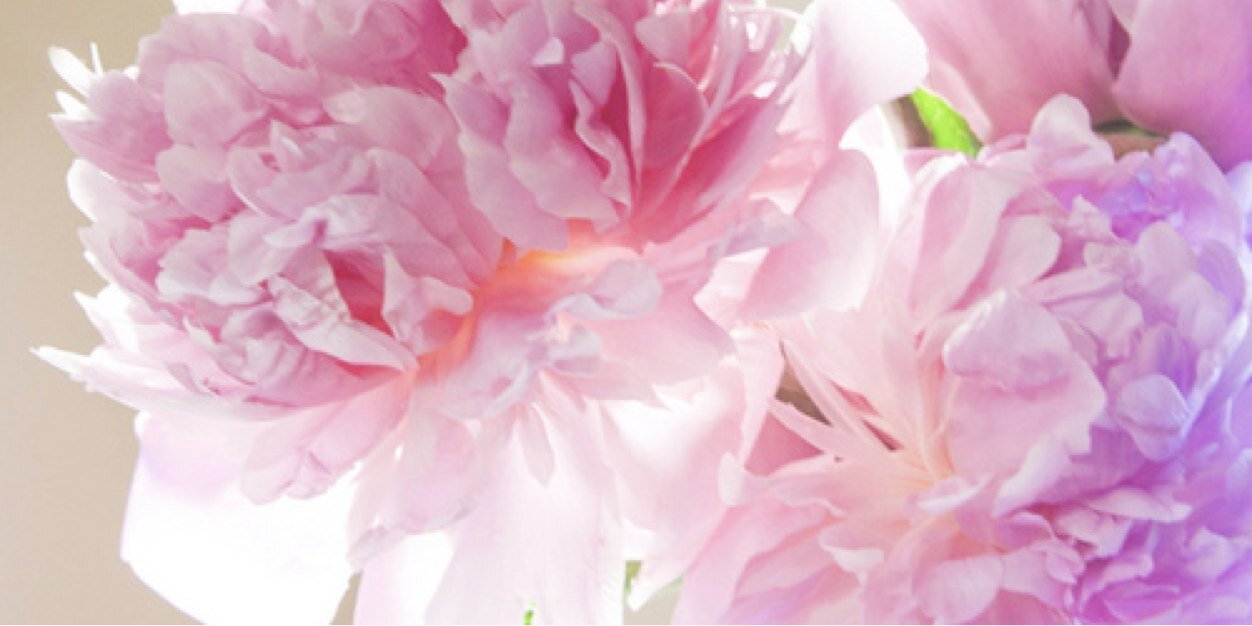 oliviaaemma_'s profile banner image