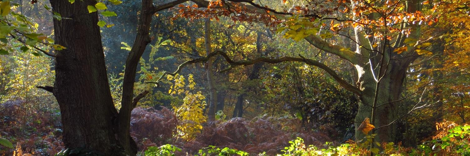Richard Jones (RJ) banner
