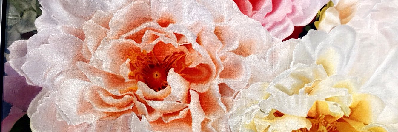 saahfiah786's profile banner image