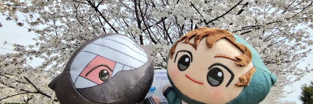 irimone's profile banner image