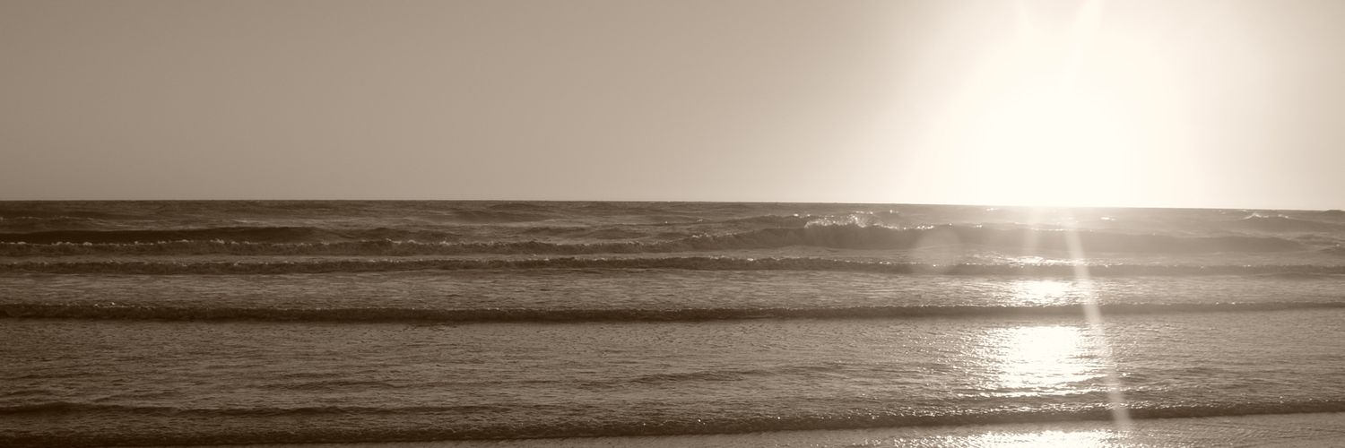elianagus's profile banner image