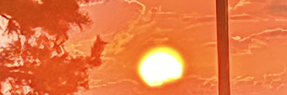 withpooh's profile banner image
