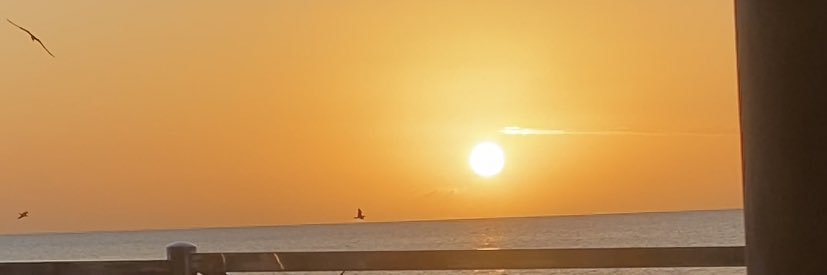 __Mu_09's profile banner image