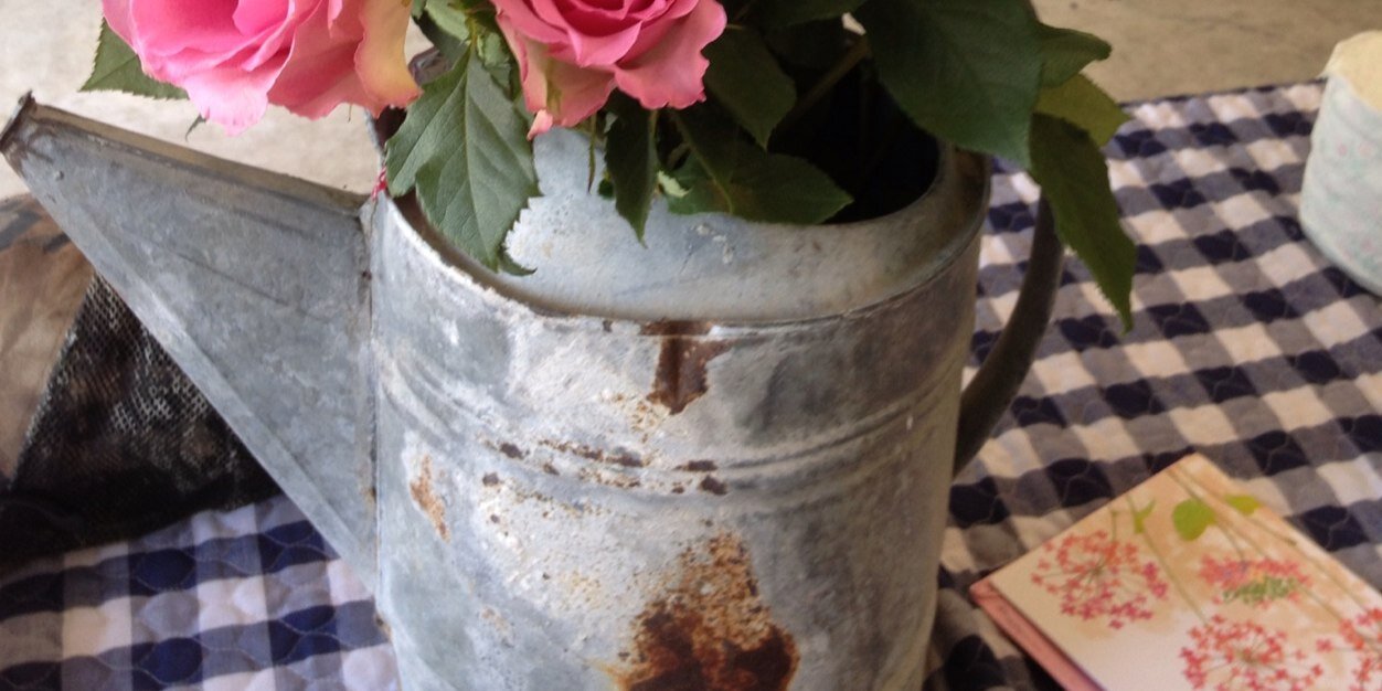 carol_snively's profile banner image