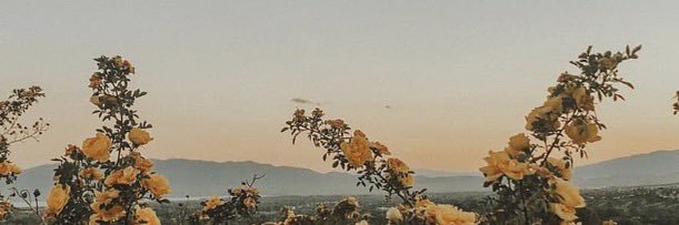 . banner