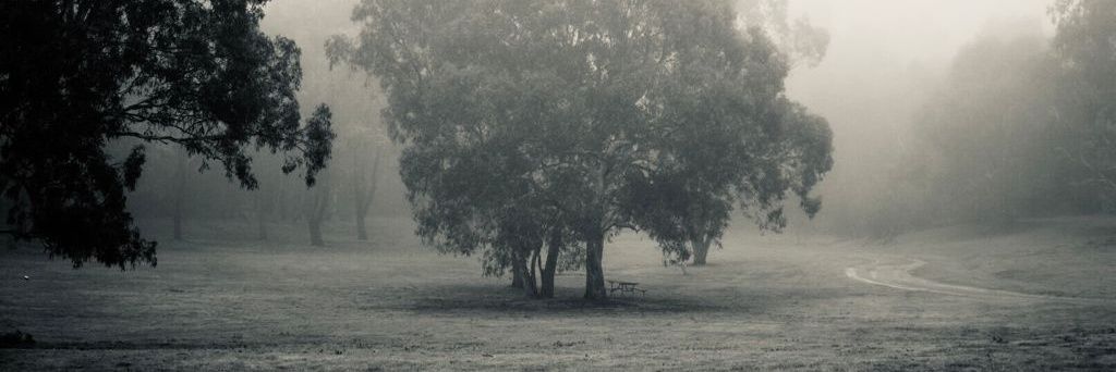 Adam banner