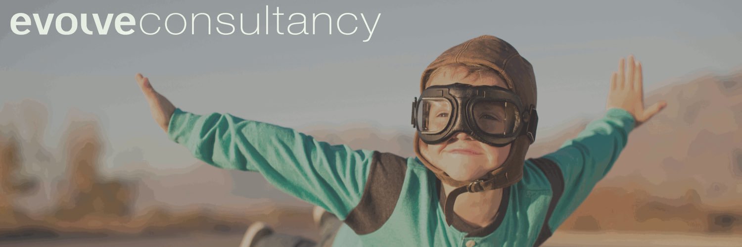 Evolve Consultancy banner