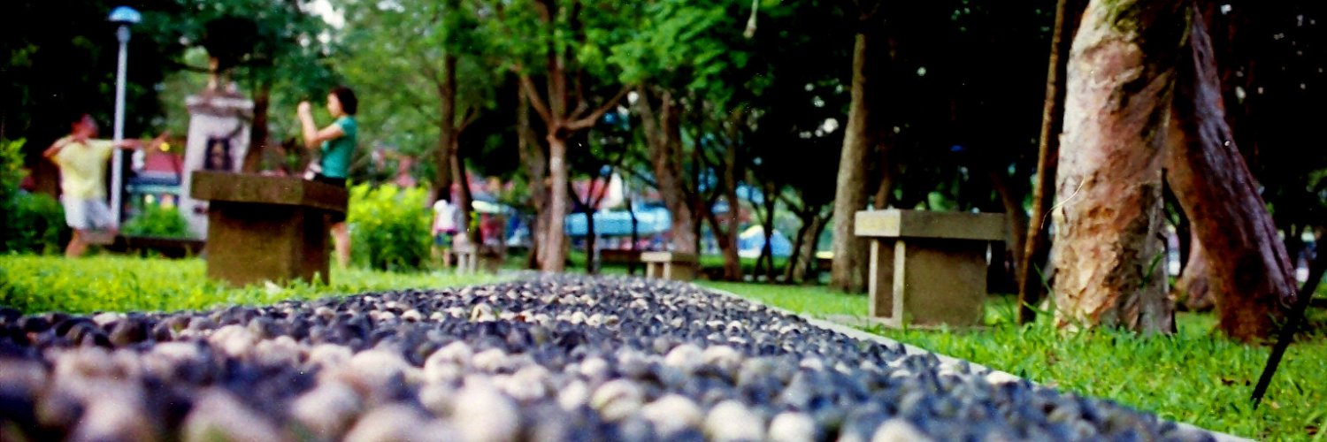 SSCTHF's profile banner image