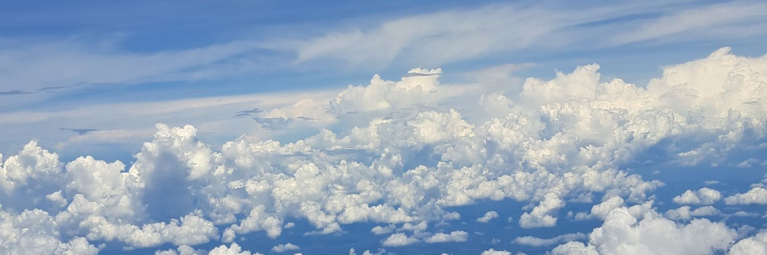 Pluto1295's profile banner image