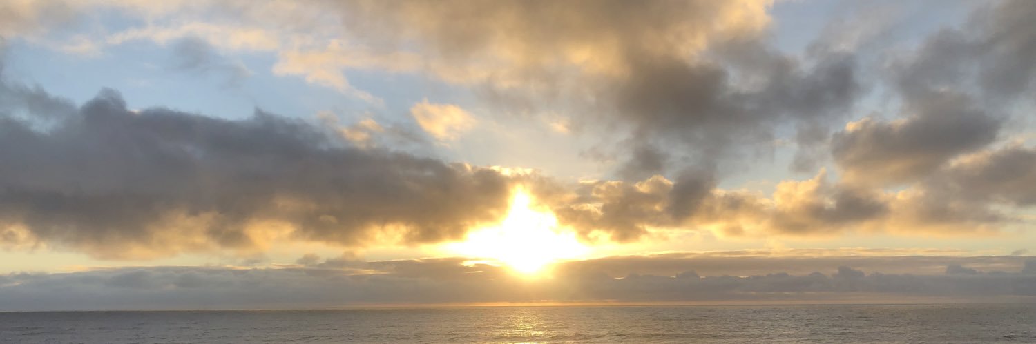 M banner