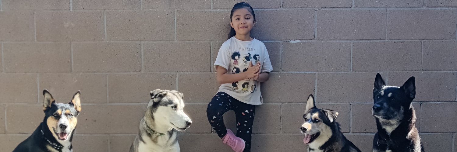 noredith vences banner