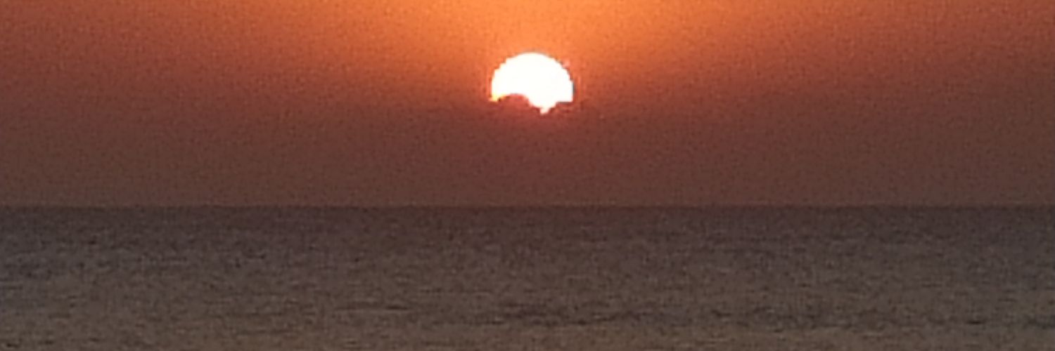 Tasunka witko banner