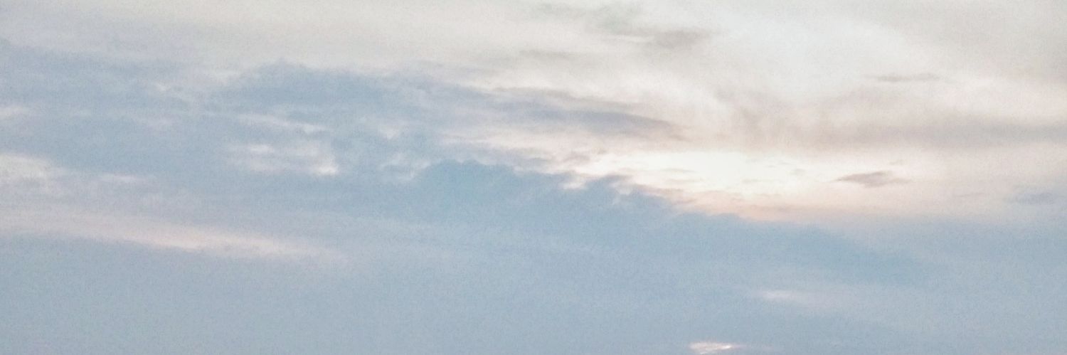 oceanic crust banner