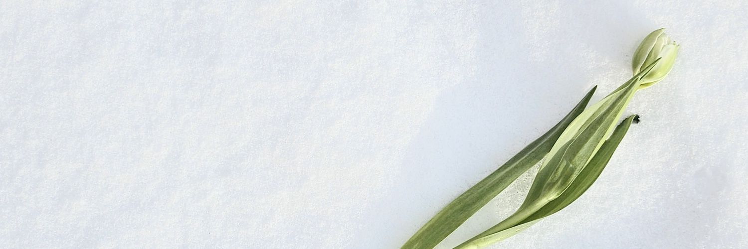 mugi_itono's profile banner image