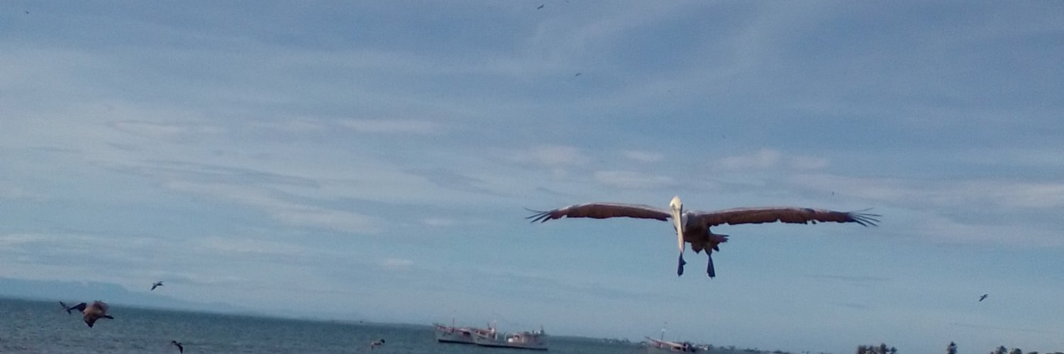 Isla presente banner