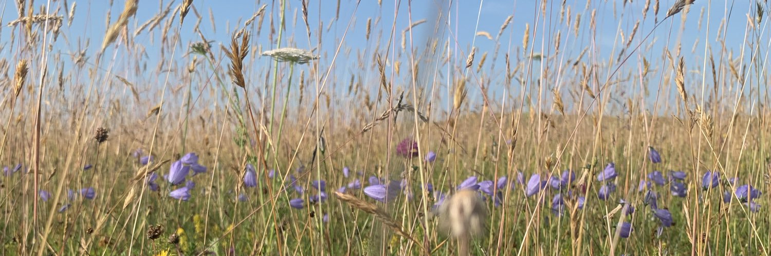 SweeneyLands's profile banner image