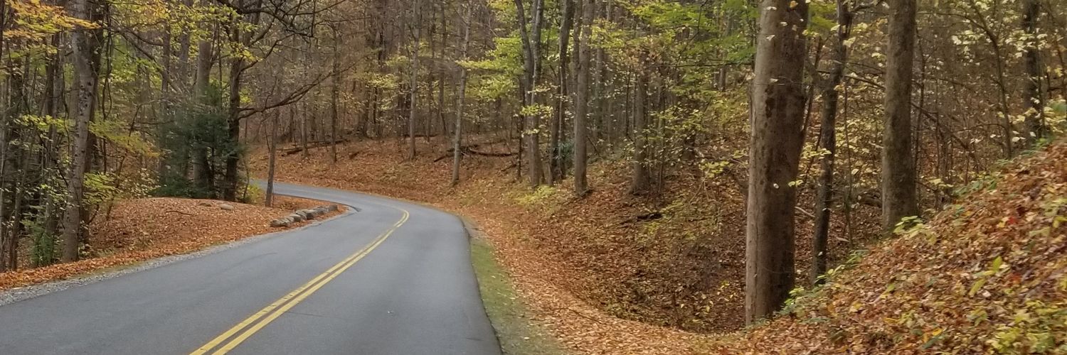 MaryNoll3's profile banner image