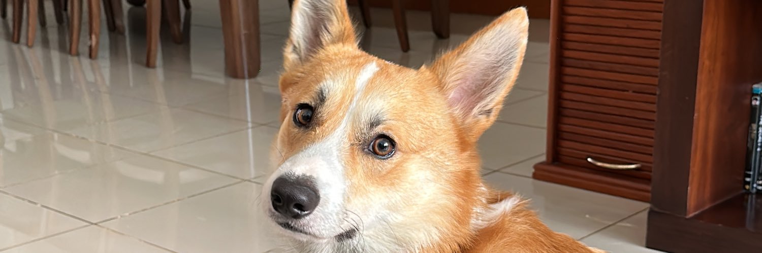 felppires's profile banner image